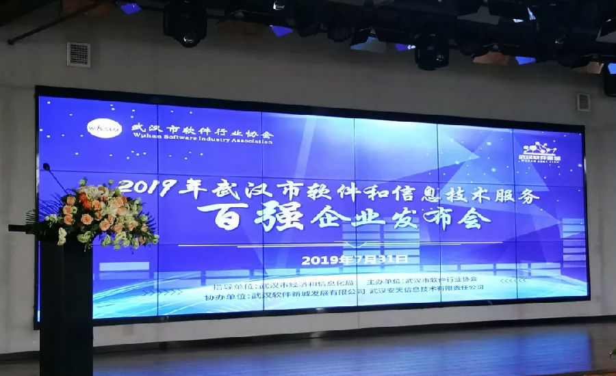 2019年武汉市软件百强企业发布会